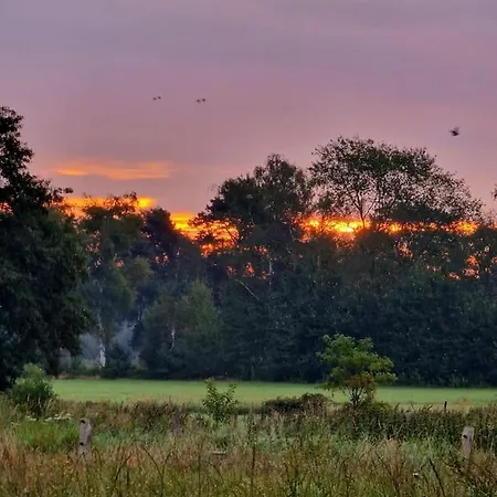 Whispering O - Speuld On The Veluwe Ermelo