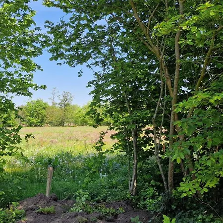 بيت للعطل Whispering O - Speuld On The Veluwe