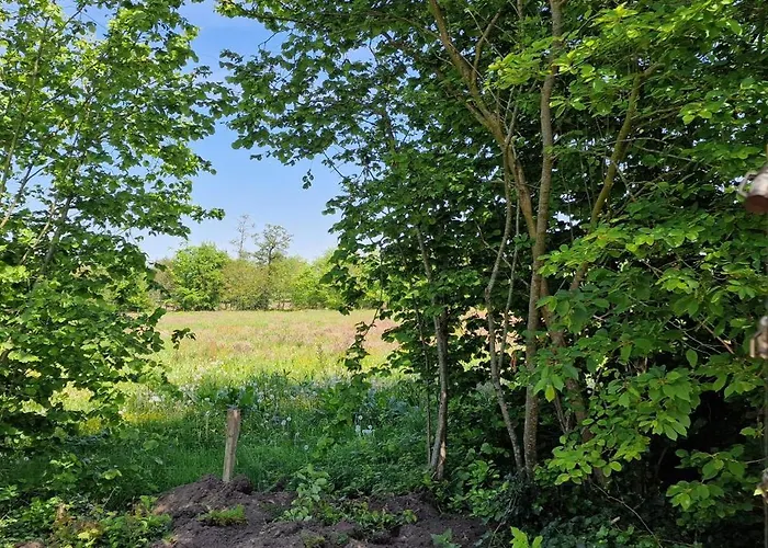 Feriehus Whispering O - Speuld On The Veluwe