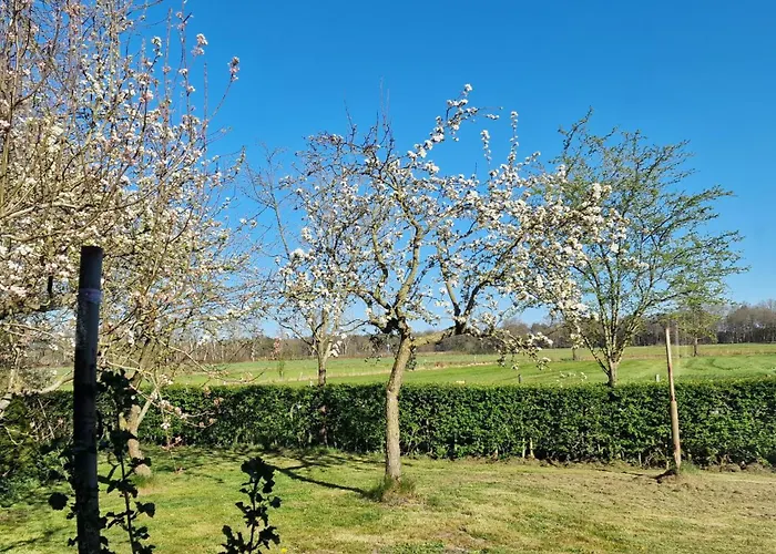 Whispering O - Speuld On The Veluwe *