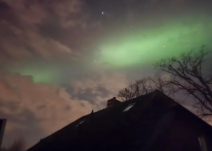 Whispering O - Speuld On The Veluwe Ermelo