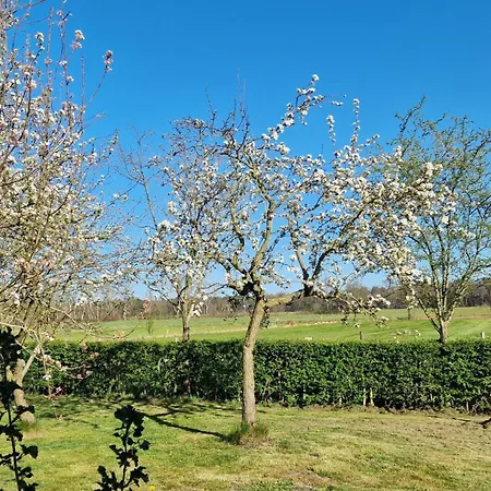 Whispering O - Speuld On The Veluwe *