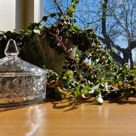 Whispering O - Speuld On The Veluwe * Ermelo