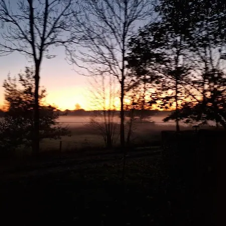 Whispering O - Speuld On The Veluwe * Ermelo